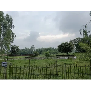 4.35 Shotok Land Sale at East of Bhabainagar, Dinajpur